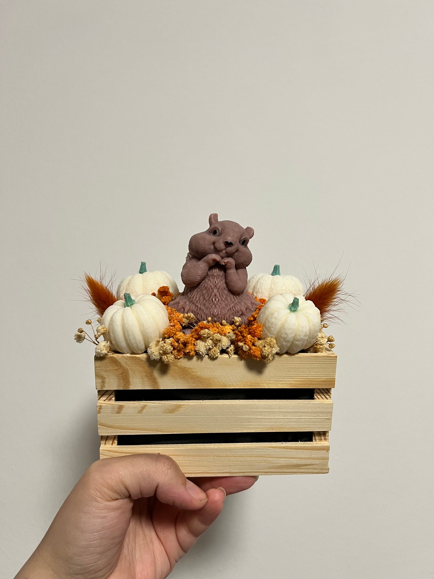 Holzbox Eichhörnchen
