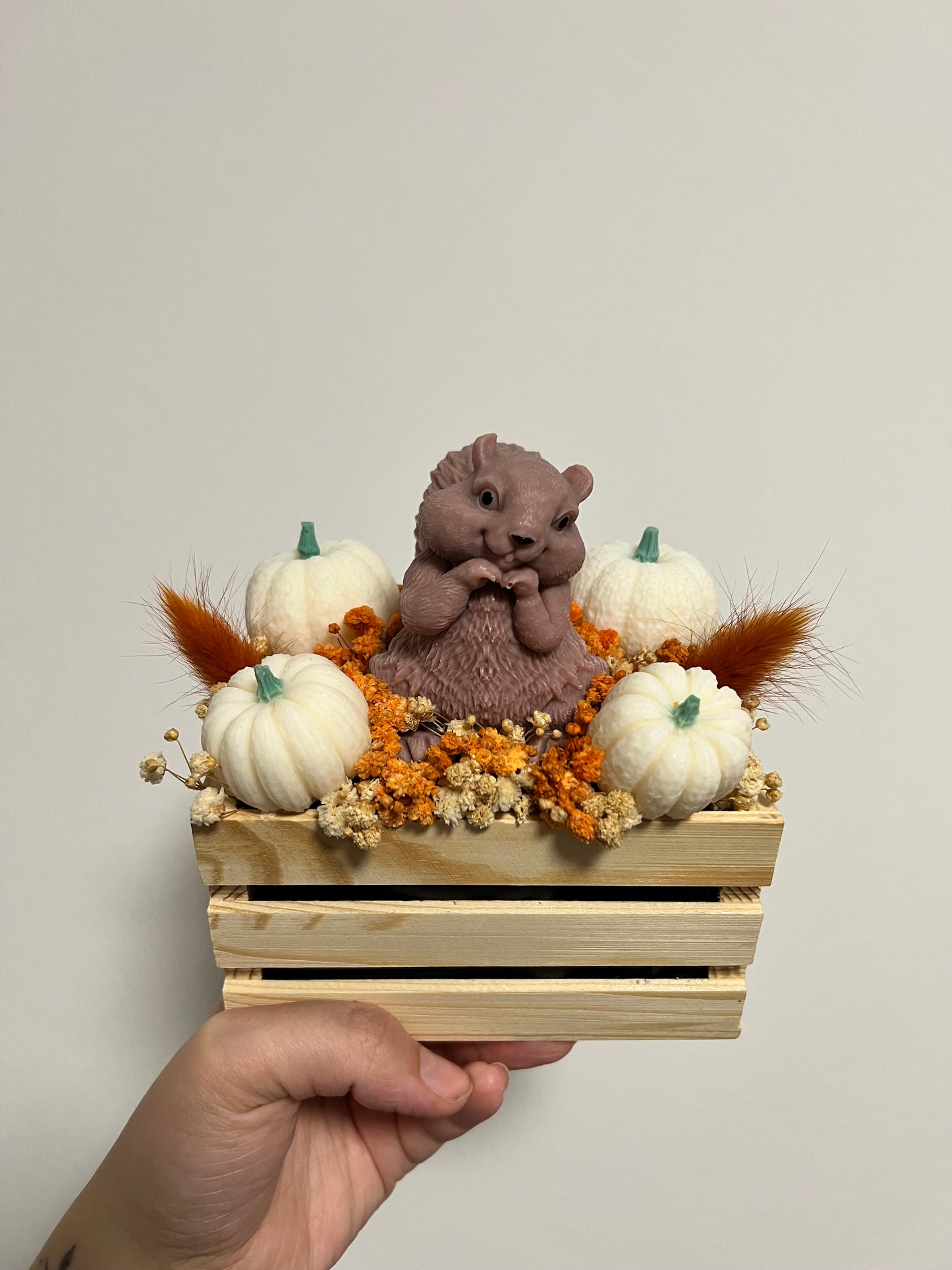 Holzbox Eichhörnchen