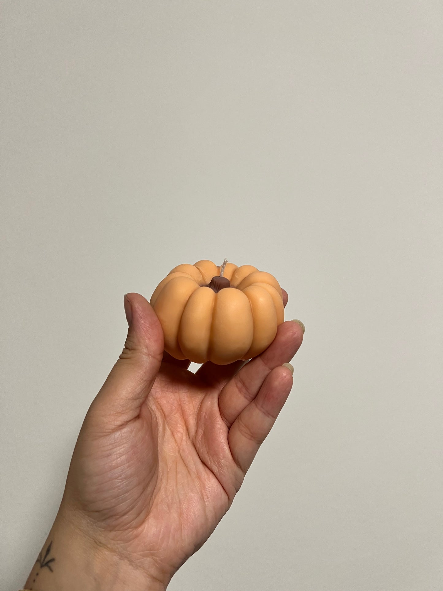 Kürbis | in 3 verschiedenen Farben