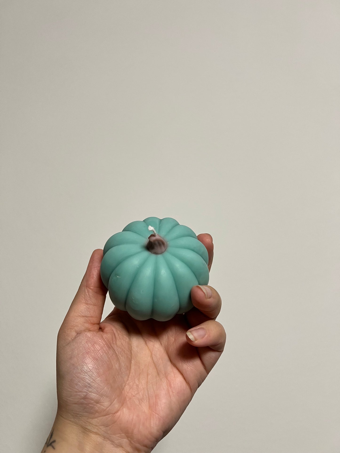 Kürbis || in 3 verschiedenen Farben
