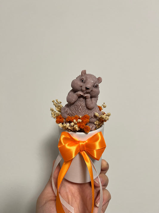 Herbstbox-Mini - Eichhörnchen