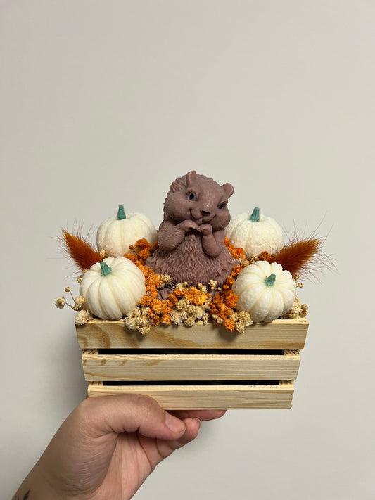 Holzbox Eichhörnchen