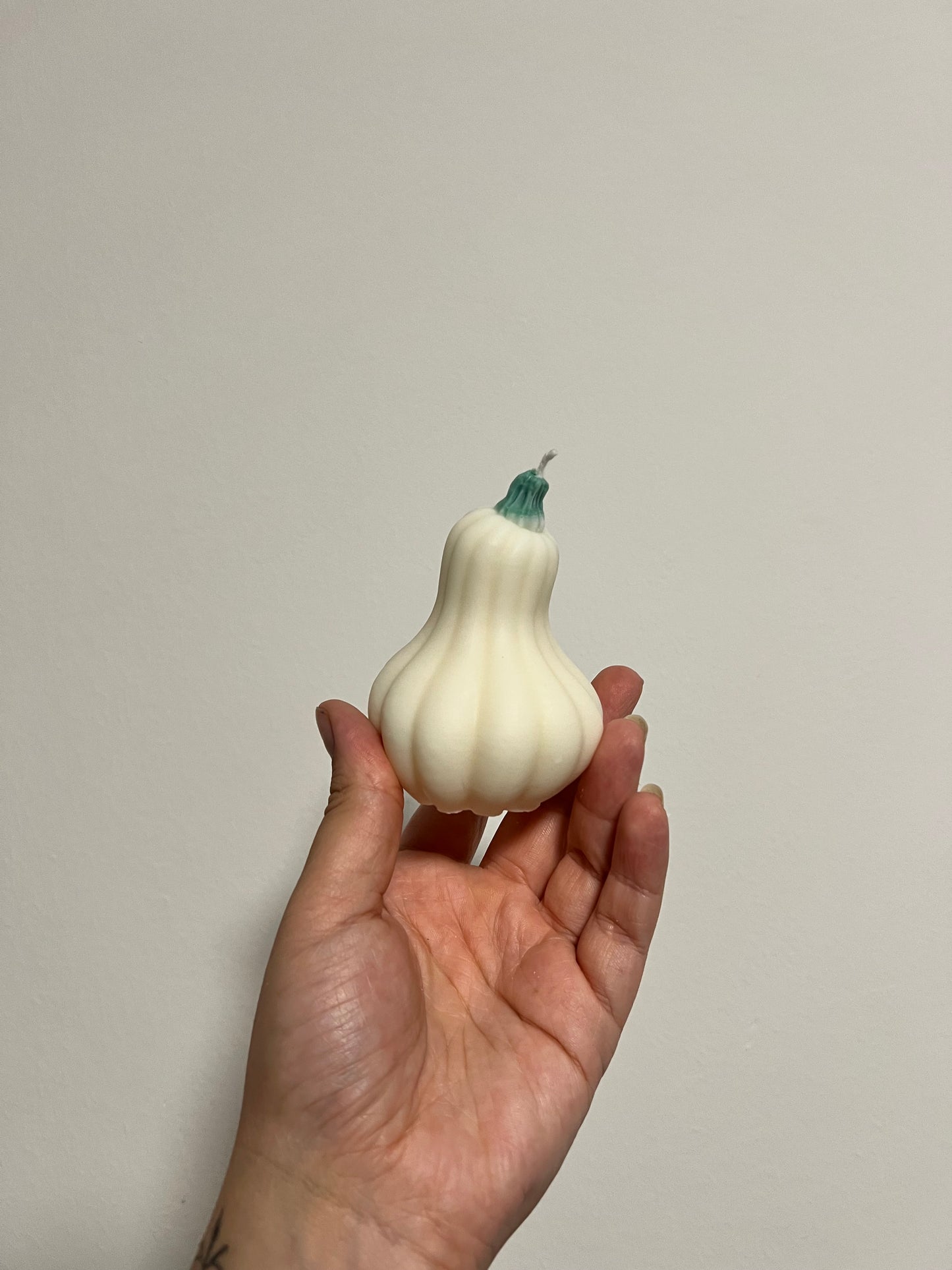 Kürbis ||| in 3 verschiedenen Farben