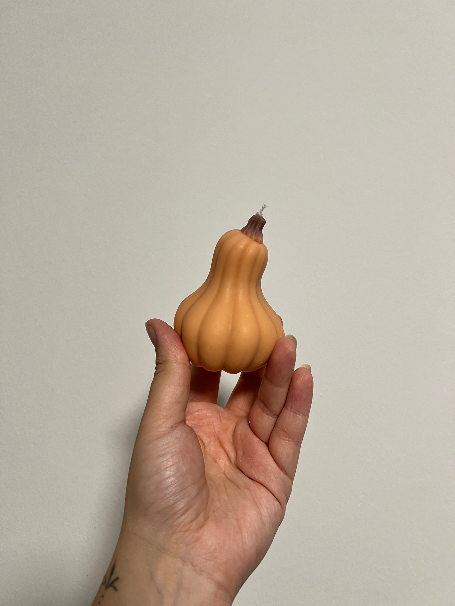 Kürbis ||| in 3 verschiedenen Farben