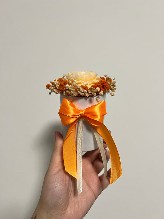 Flowerbox-Mini Orange / Weiß