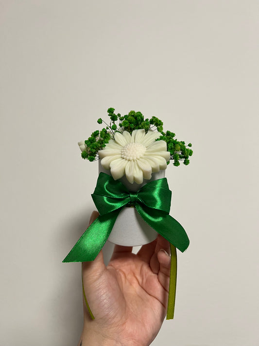 Flowerbox-Mini Pistazie / Weiß